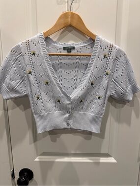 wild fable Pastel Blue Eyelet Knit Top